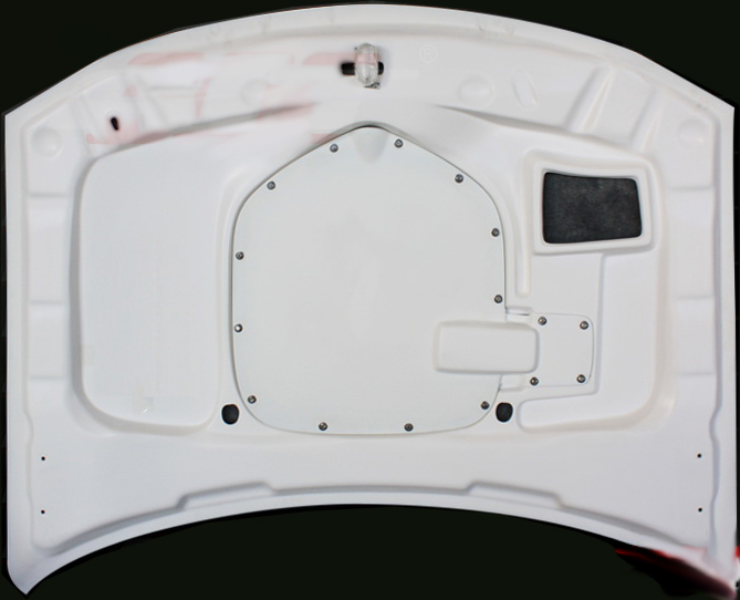 Dodge Charger Shaker Style Ram Air Hood 20052010