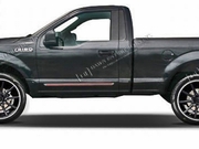 F150 Body Side Moldings