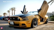2011-2014 Ford Mustang Vertical Door Kit | VDI VDCFM11 2011-2014 Ford Mustang Vertical Door Kit | VDI VDCFM11