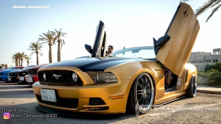 2011-2014 Ford Mustang Vertical Door Kit | VDI VDCFM11