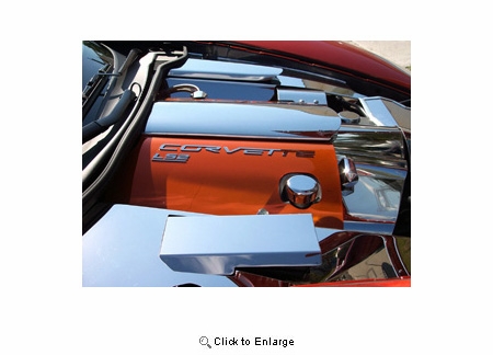 05-07 Powder Coated Stainless Fuel Rail Covers