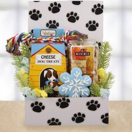Christmas Playtime Dog & Owner Care Package  SOLD OUT 