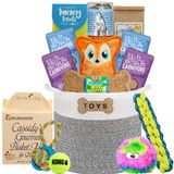 Classic Dog Toy Bin and Treats