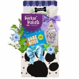 Dog Treat Gift