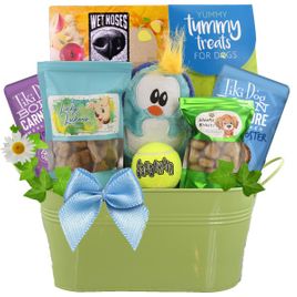 Fun and Games Dog Gift - UPDATED