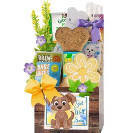Get Well Pooch Dog Gift