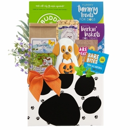 Halloween Barks and Wags Dog Gift