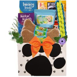 Halloween Ruffs Dog Gift