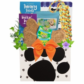 Halloween Ruffs Dog Gift
