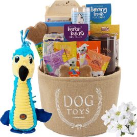 Holiday Classic Dog Toy Bin and Treats