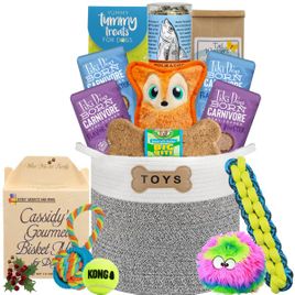 Holiday Classic Dog Toy Bin and Treats
