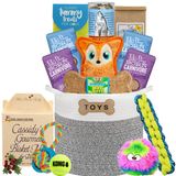 Holiday Classic Dog Toy Bin and Treats