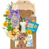 Make it All Better Dog Gift