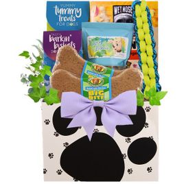 Ruffed Up Pup Dog Gift