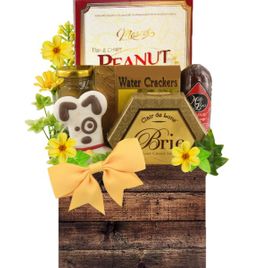 Special Delivery Dog and Owner Gift