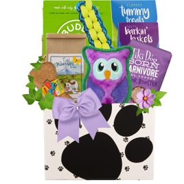 Treats Ahoy Dog Gift