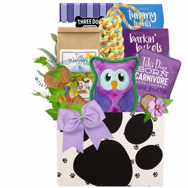 Treats Ahoy Dog Gift