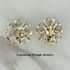 ALLUSION Earrings