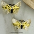 BUTTERFLY Earrings in the Original Packaging