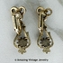 CONTESSA Pin and Earrings Set