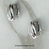 FORECASTER Earrings - Silver in Box