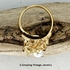 GOLDEN NEST Ring