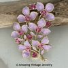 RASPBERRY ICE Pin RASPBERRY ICE Pin