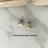 RUSTIC CHARMER Pierced Earrings