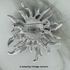 Silvertone Pin with AB Stones - Canada