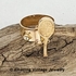 SPORT Ring