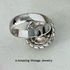STARDUST Ring