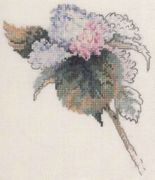 Hydrangea by Janet Powers