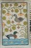 Quack Stack by Paulette Stewart Quack Stack by Paulette Stewart