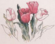 Tulips by Janet Powers