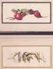 Veggies I by Janet Powers Veggies I by Janet Powers