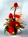 FLAMES / arranged