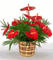 HEARTS-in-a-basket / arranged