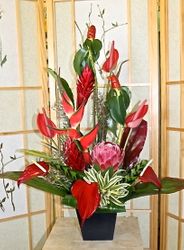 Large Kauai-arrangement