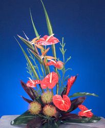 Lava Blooms
