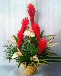 PEPPERMINT / arranged