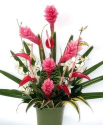 PINK MELE / arranged