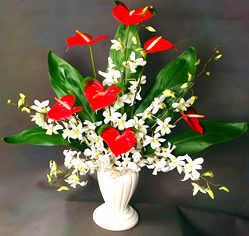 WINTER HEARTS / arranged