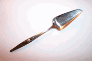 1847 Rogers Bros SPRING CHARM Stainless Cheese Knife / Server