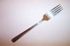 1881 Rogers  BROOKWOOD / DANBURY Dinner Fork