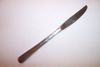 1881 Rogers  BROOKWOOD / DANBURY Grille Knife