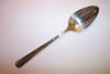 1881 Rogers  BROOKWOOD / DANBURY Tablespoon / Serving Spoon