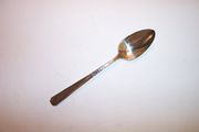 1881 Rogers  BROOKWOOD / DANBURY Teaspoon