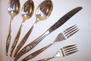  1881 Rogers Oneida ROSE SONG 6-piece Place Setting