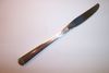 1881 Rogers Oneida SURF CLUB Grille Knife, Modern Blade