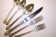 1881 Rogers PLANTATION 6-piece Place Setting